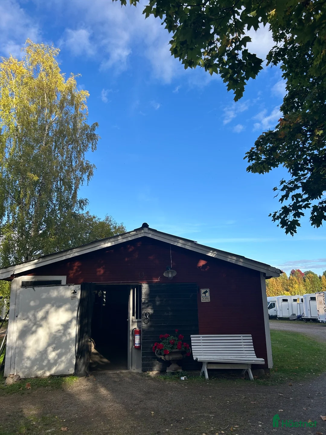 stallplats finnes: Ledig stallplats i Falun! - Annons 7