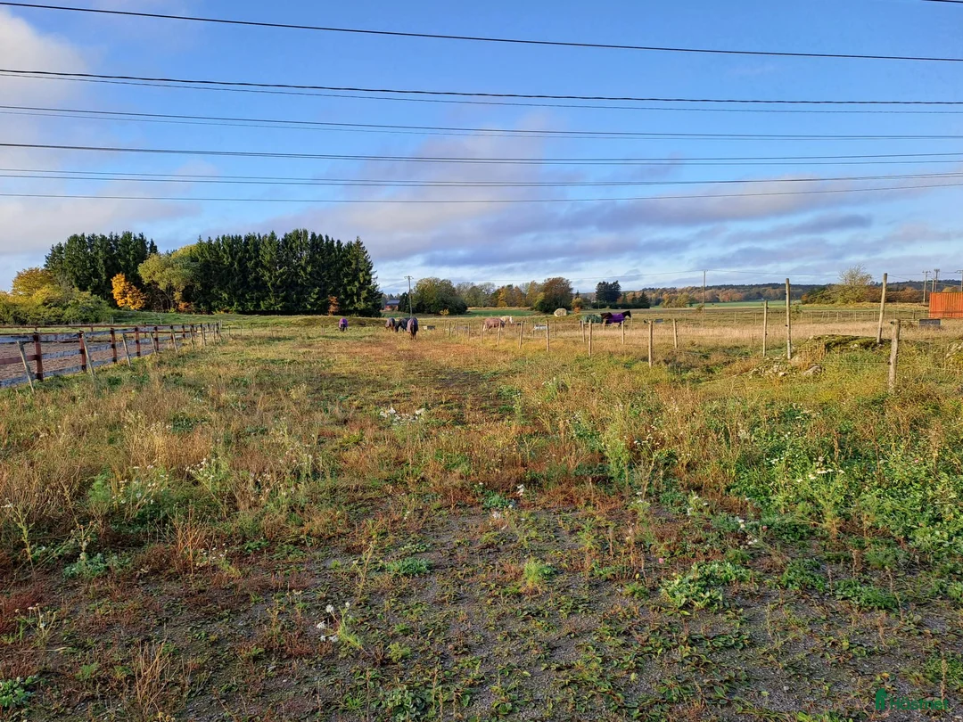  stallplats finnes: Lediga Stallplatser Önsta Stallet i Bro - Annons 10