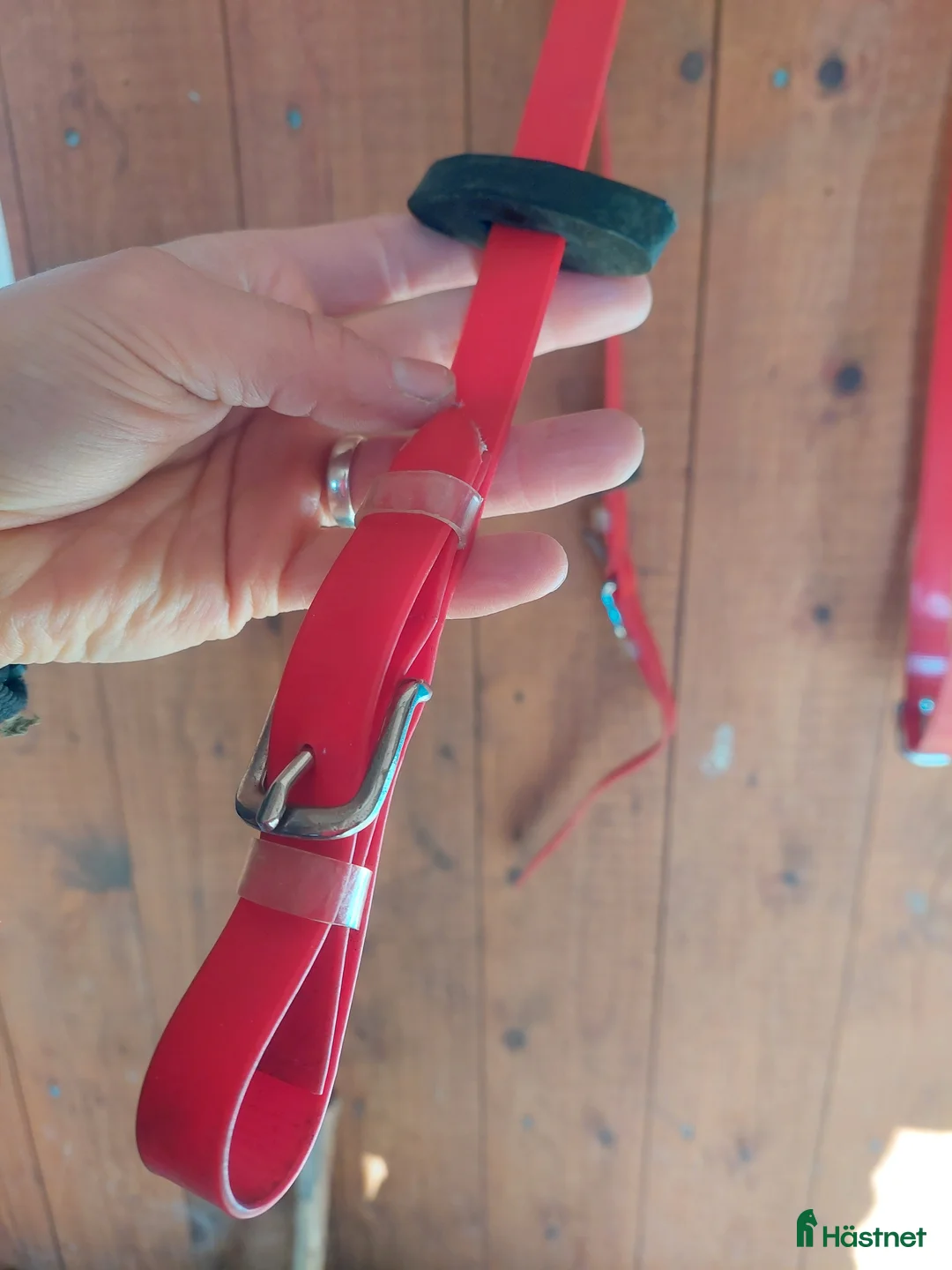 Träns hästutrustning till salu: Röda tyglar - Annons 3