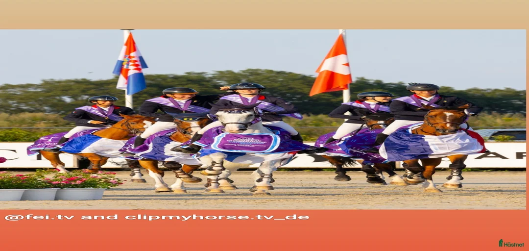 Galleribild {{count}}