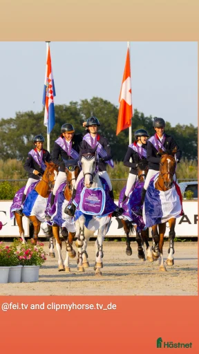 Galleribild {{count}}