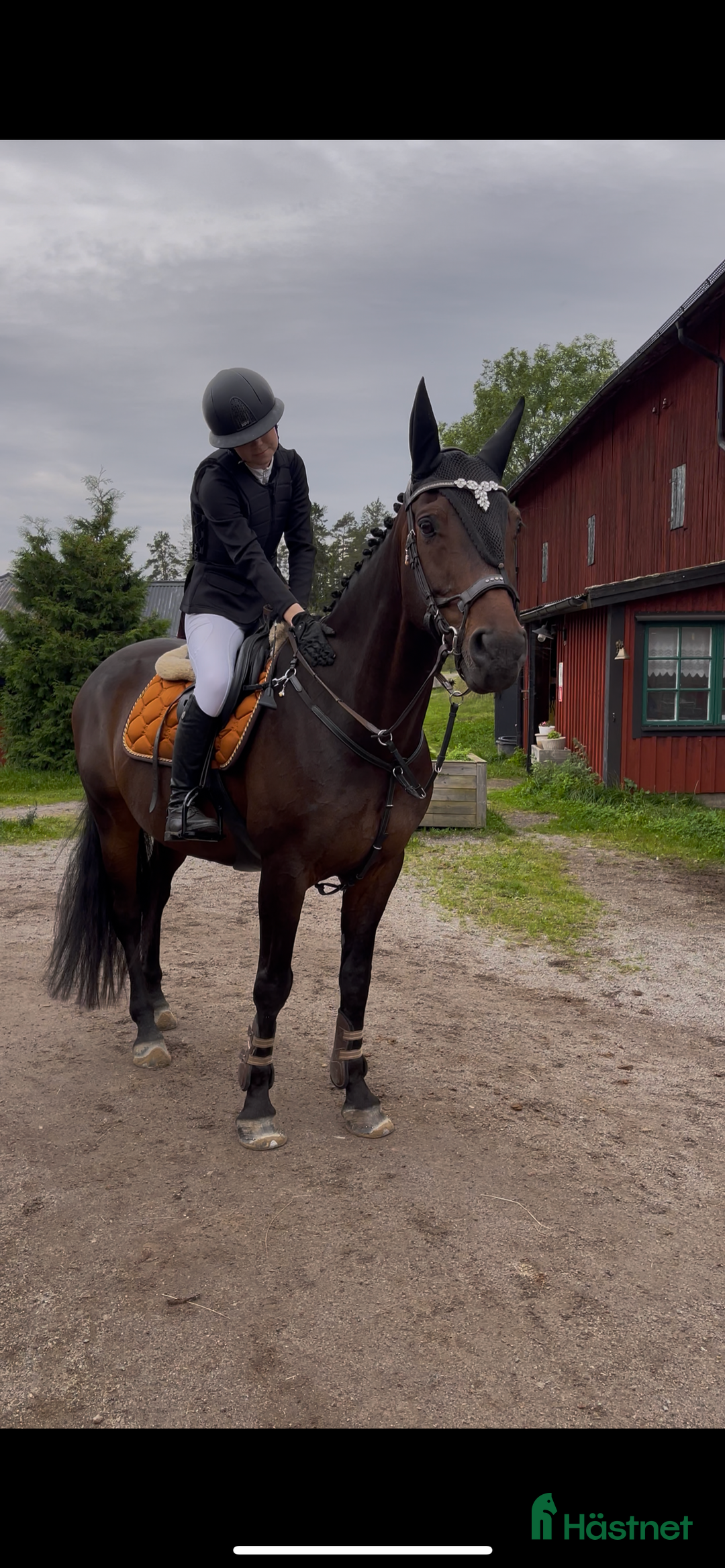 Galleribild {{count}}