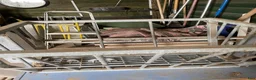 Stallinredning, stängsel & gård övrig utrustning till salu: Höhäckar i Linghem - Annons 4