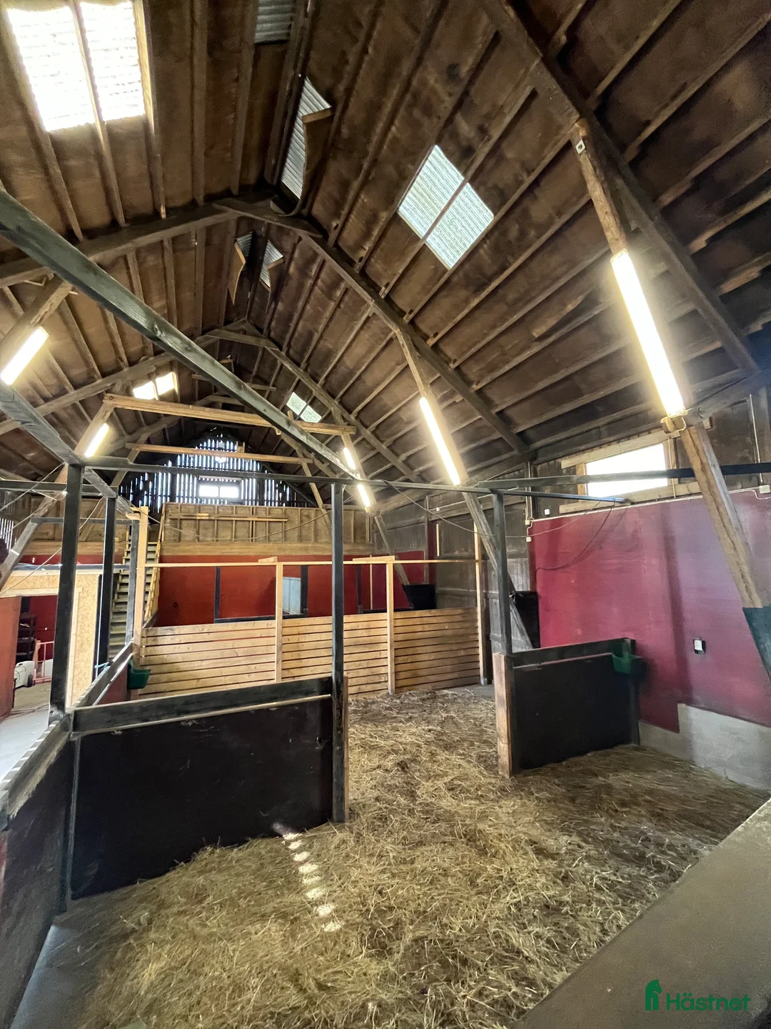  stallplats finnes: Stallplats Islandshäst lösdrift - Kungälv - Annons 2