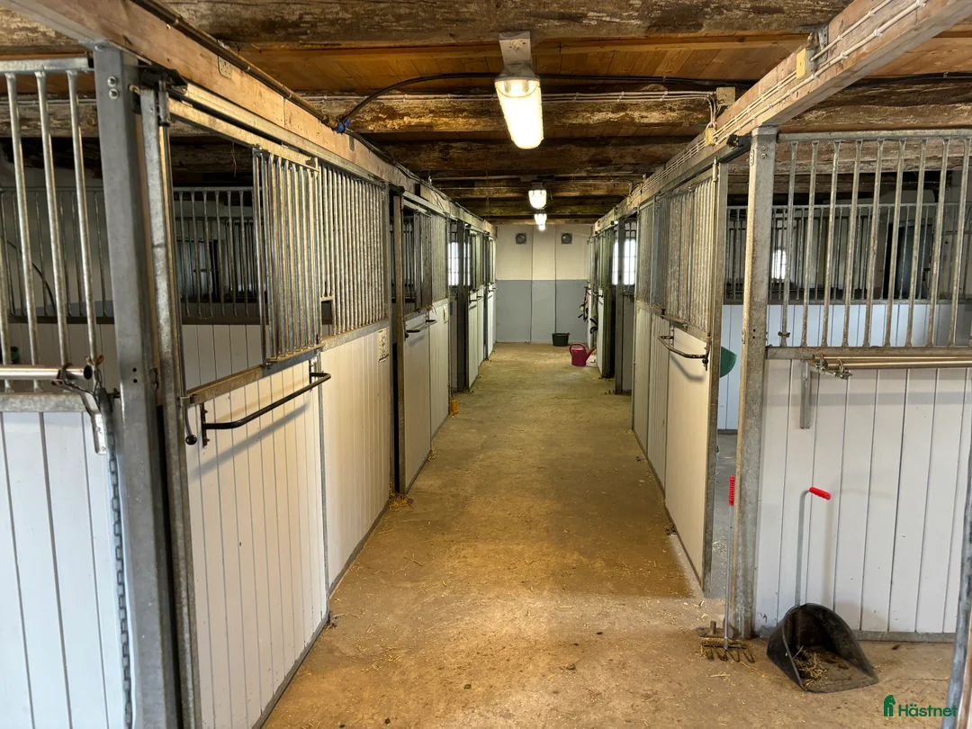  stallplats finnes: Stallplats i lugnt stall i Teckomatorp - Annons 1