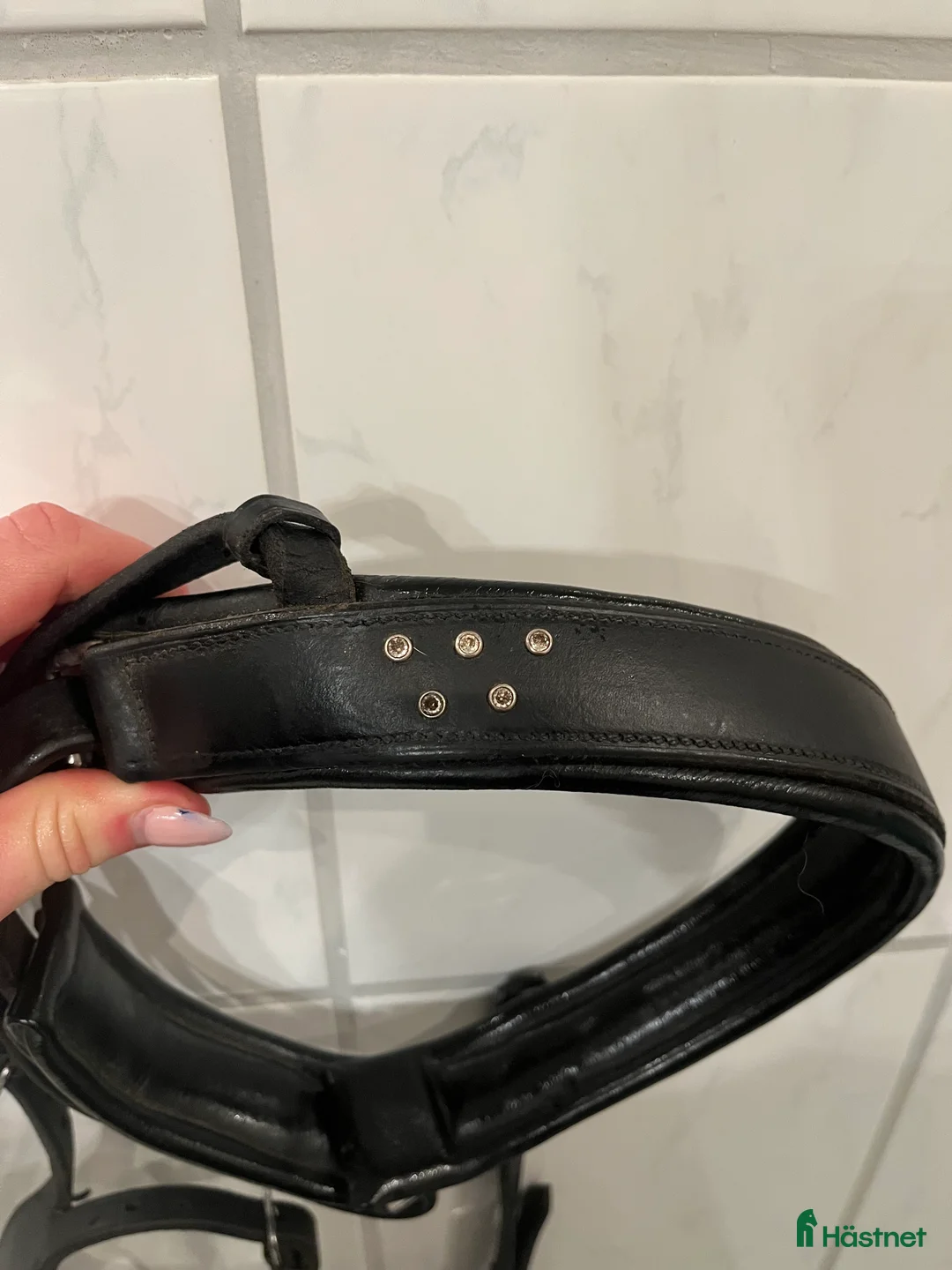 Träns hästutrustning till salu: Jätte fint dressyrträns!! i Kungälv - Annons 3