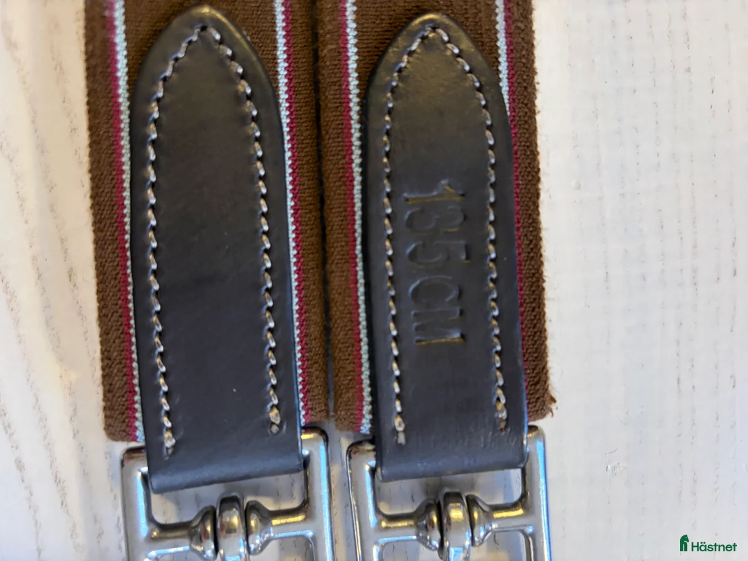 Sadeltillbehör hästutrustning till salu: Lippo magplattegjord - Annons 3