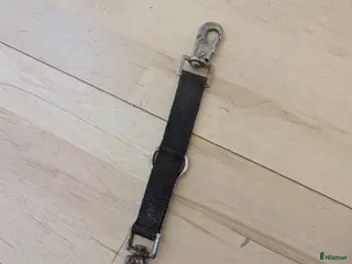 Övrig Hästutrustning hästutrustning Longering delta i Ås - Annons 14