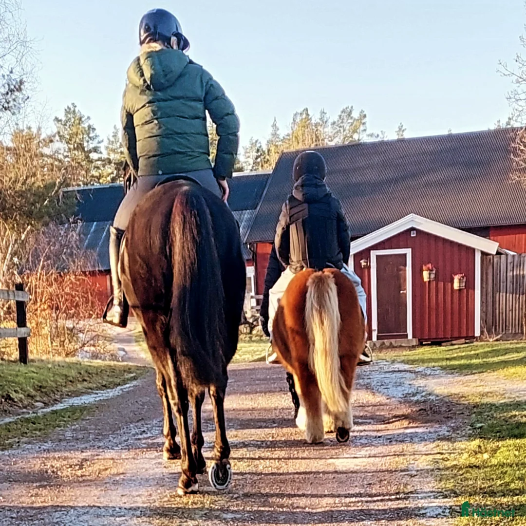 Galleribild {{count}}