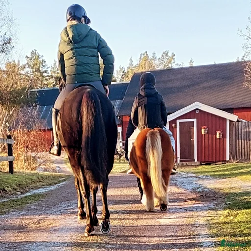 Galleribild {{count}}