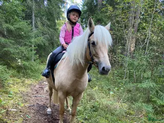 hästar Läromästare sökes i Grillby - Annons 24