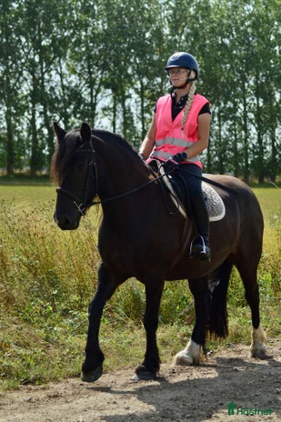 hästjobb i Tungelsta - Annons 18