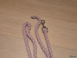 Övrig Hästutrustning hästutrustning till salu: Grimskafft - Annons 2