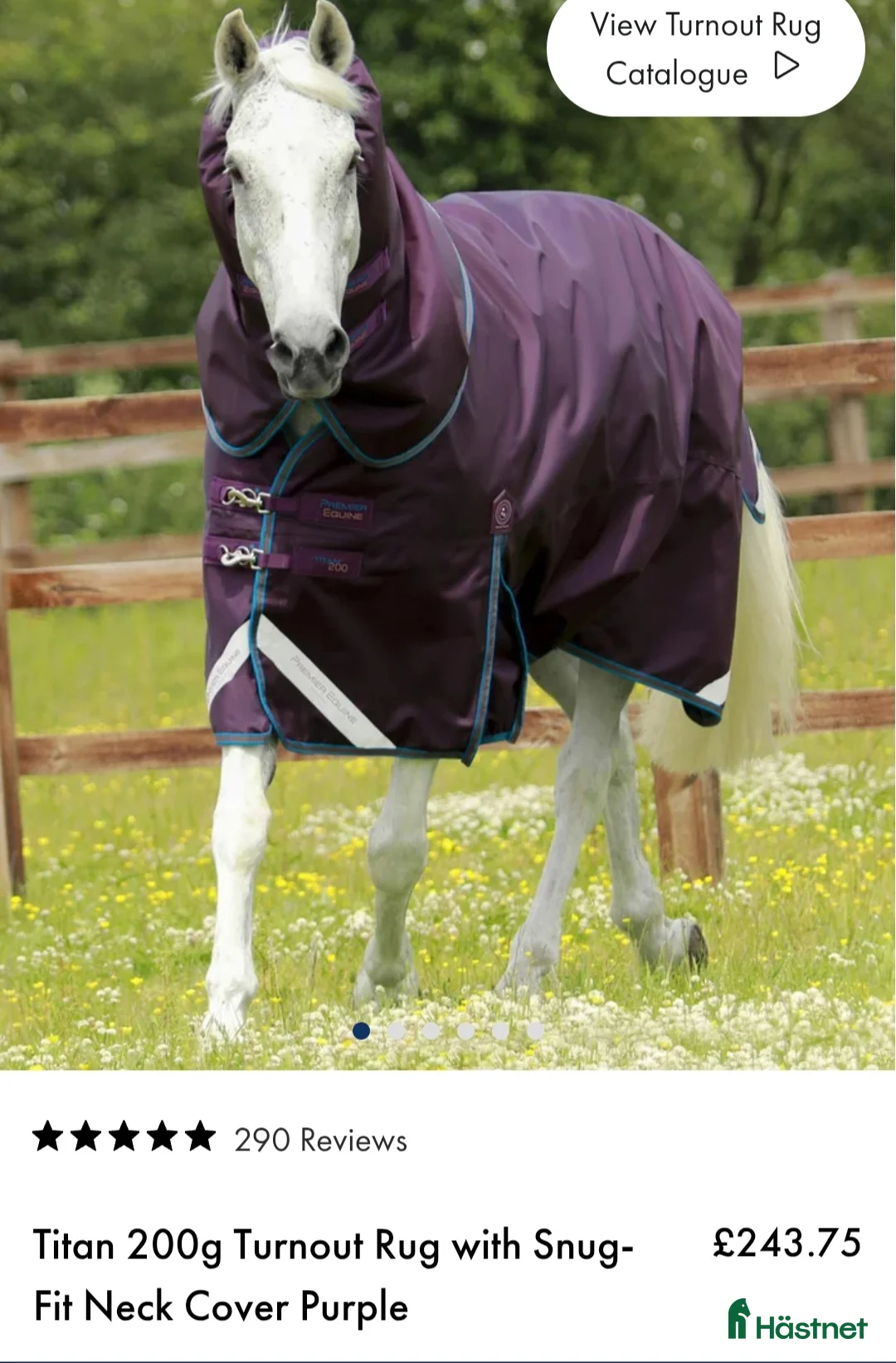 Täcken hästutrustning till salu: Premier Equine Titan 200g 6.3/140-145 i Tranås - Annons 15