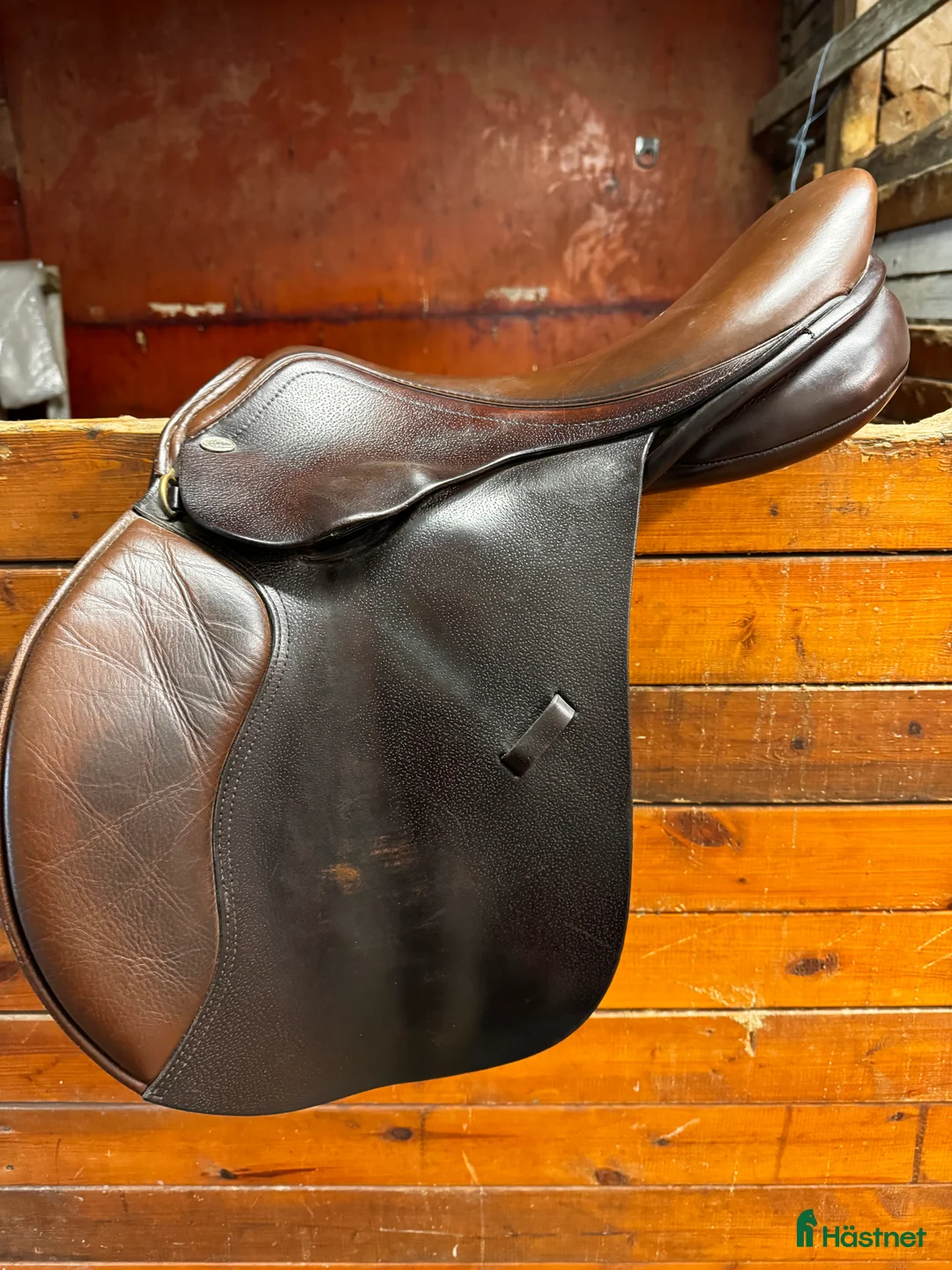 Sadlar hästutrustning till salu: Globus Esperanza i Hammarstrand - Annons 1