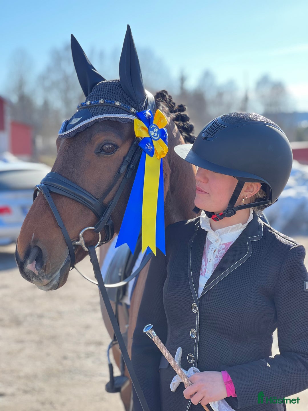 Dressyr hästar till salu: FEI Dressyrponnyn som hänger med på allt i Njurunda - Annons 2