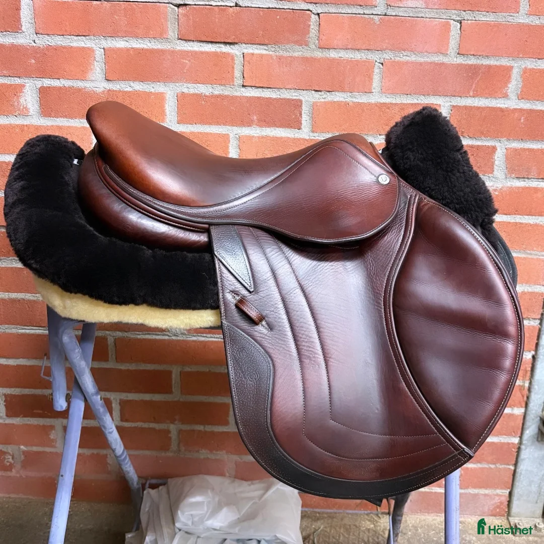 Sadlar hästutrustning till salu: CWD sadel - Annons 2