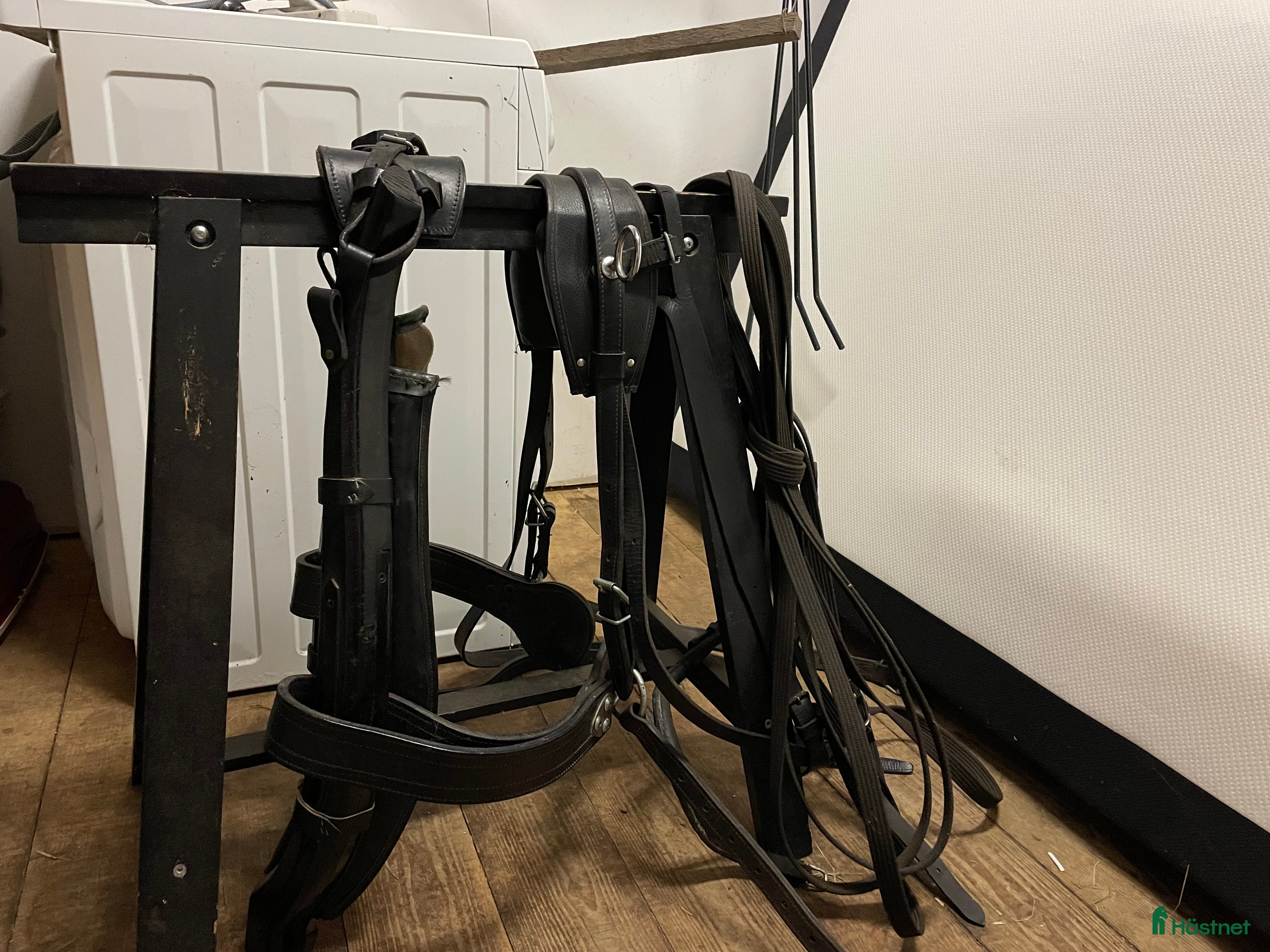 Övrig Hästutrustning hästutrustning till salu: Loksele i Ambjörnarp - Annons 14