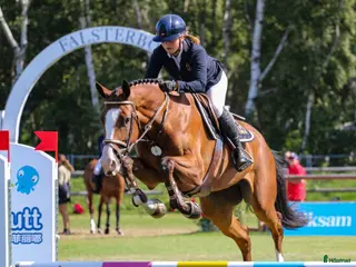 hästar Tävlingskompis - Annons 1