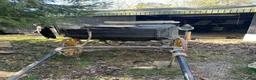Körvagnar körning till salu: Antik hästvagn / bröllopsvagn / dekorvagn lyktor i Tungelsta - Annons 3