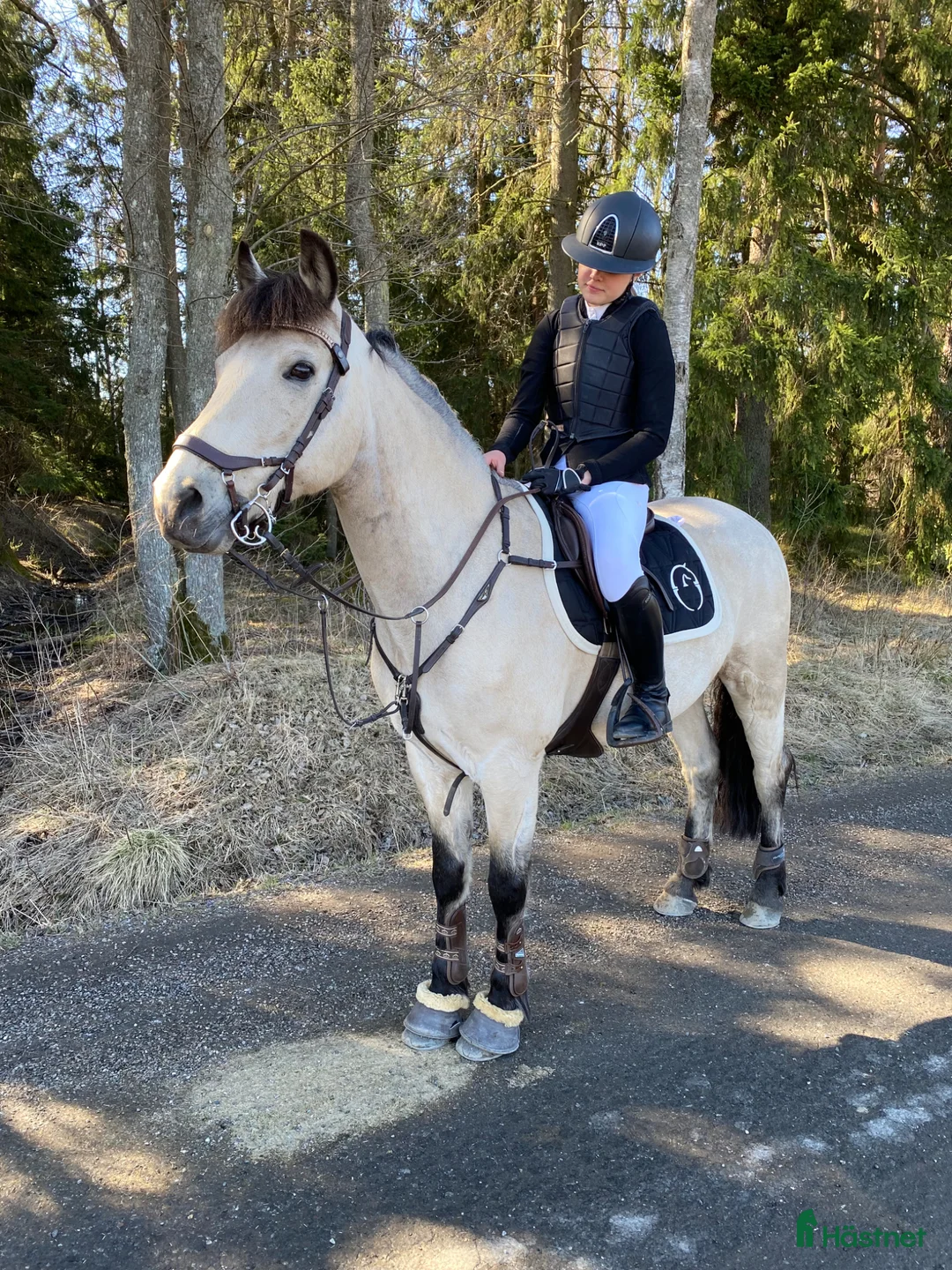 Allround hästar till salu: Rutinerad snygg maxad D-ponny som är med på allt - Annons 1