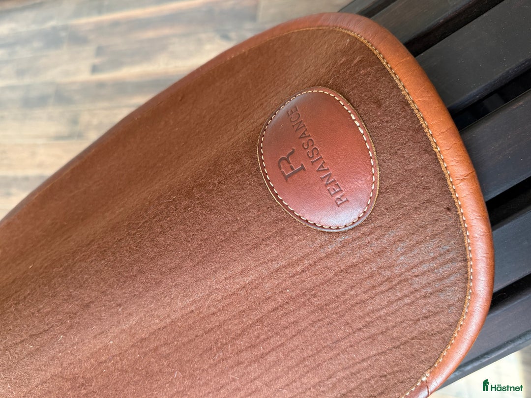 Sadeltillbehör hästutrustning till salu: Renaissance Filtpad i Edsbro - Annons 2