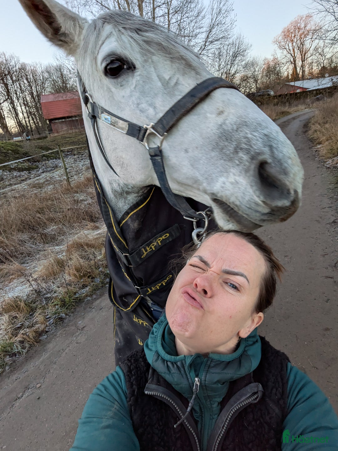 Galleribild {{count}}