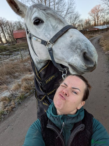 Galleribild {{count}}