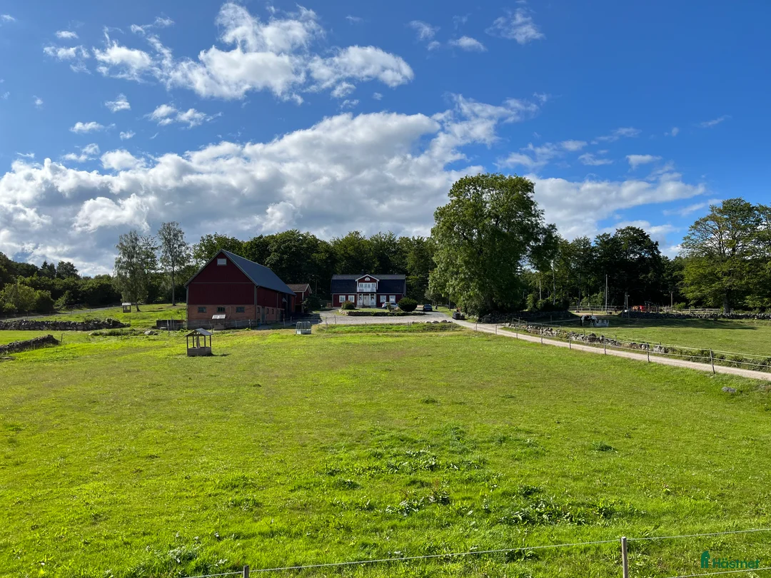  stallplats finnes: Stallplatser med naturskönt läge!  - Annons 1