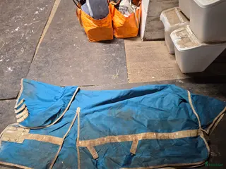 Täcken hästutrustning Fairfield täcke 80g i Hortlax - Annons 3