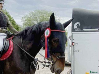 foderhäst Delfodervärd eller betalande medryttare i Nässjö - Annons 21