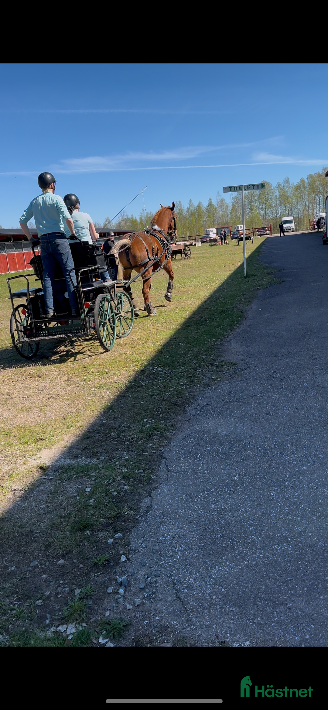 Körvagnar körning till salu: Maratonvagn storhäst i Västra Ämtervik - Annons 23
