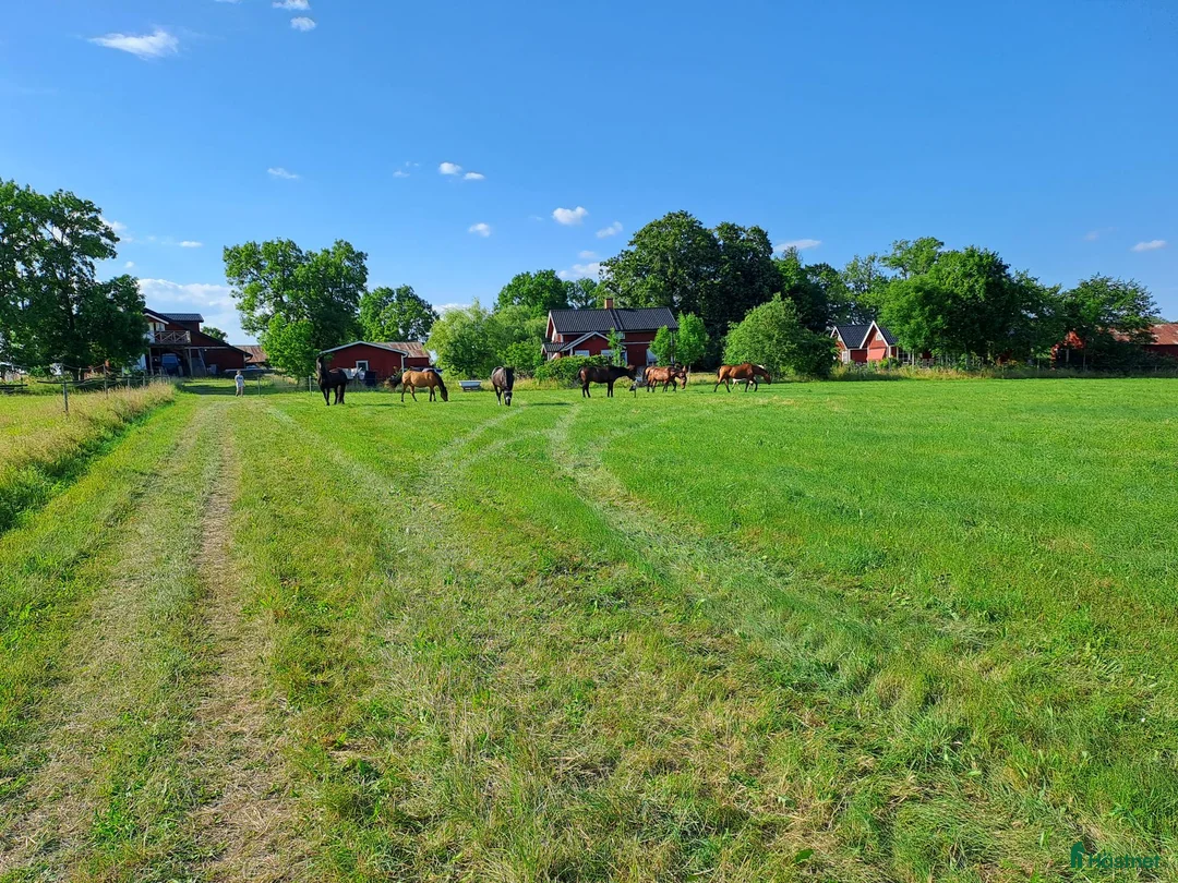  stallplats finnes: Boxplatser och lösdriftplatser lediga i Bro - Annons 7