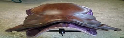 Sadlar hästutrustning till salu: Santa Cruz Celine 16" - Annons 3