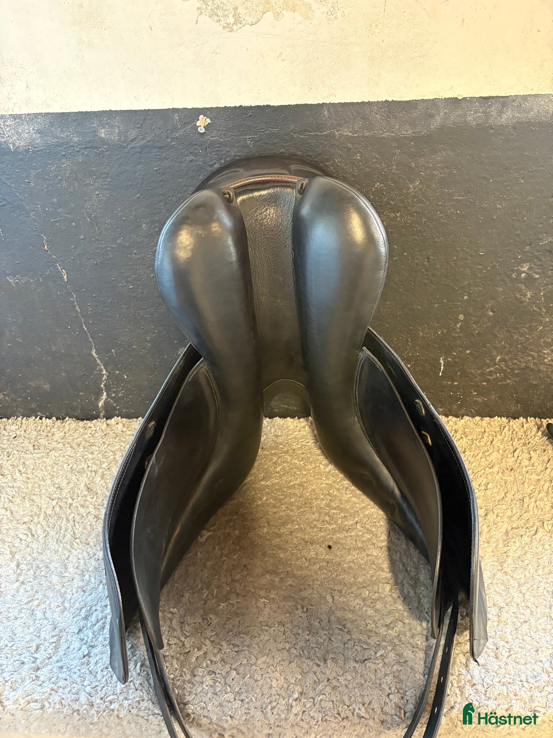 Sadlar hästutrustning till salu: Prestige Rembrandt  i Brösarp - Annons 5