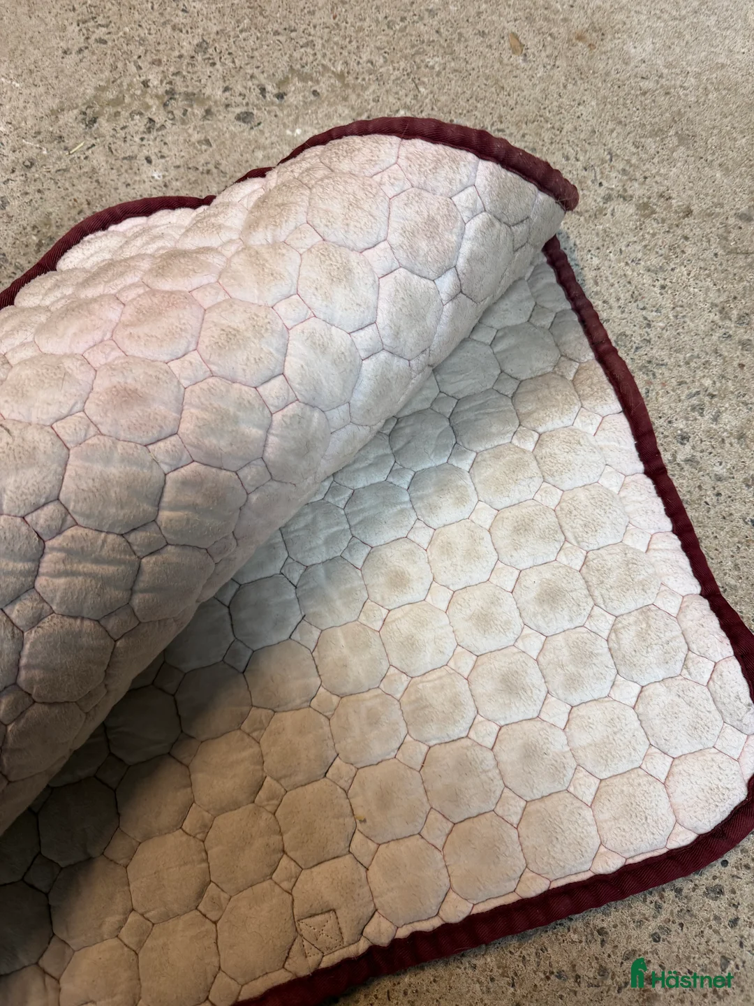 Schabrak & Vojlockar hästutrustning till salu: Equline schabrak  - Annons 2