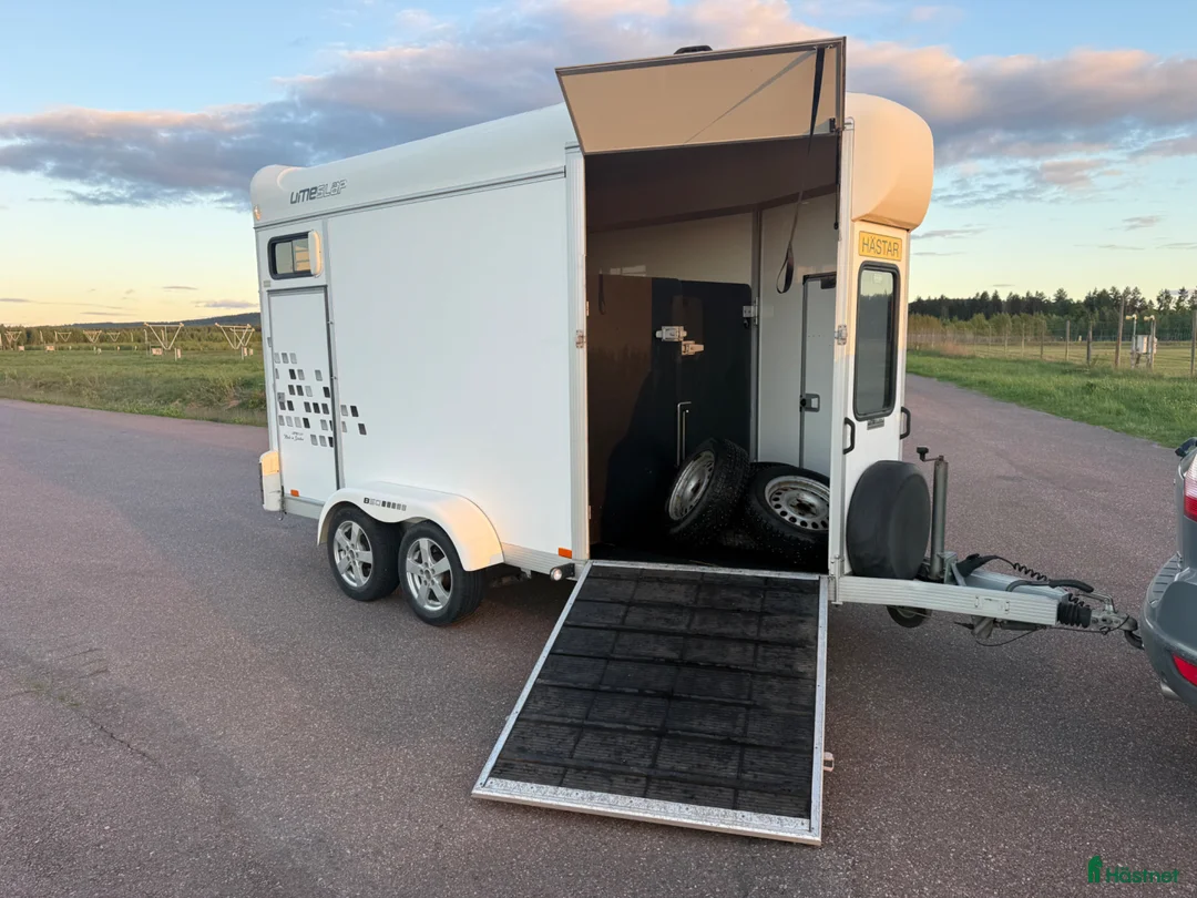 Hästtransporter  fordon & transport till salu: UME B50 -15 - Toppskick! - Annons 1