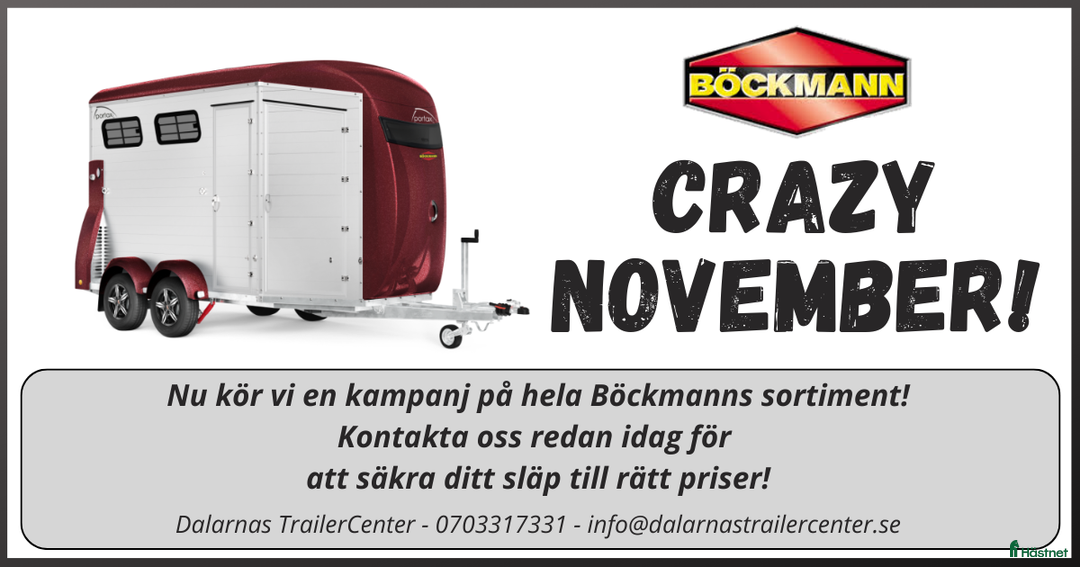 Hästtransporter  fordon & transport till salu: Böckmann CRAZY NOVEMBER - Kampanj! i Borlänge - Annons 1