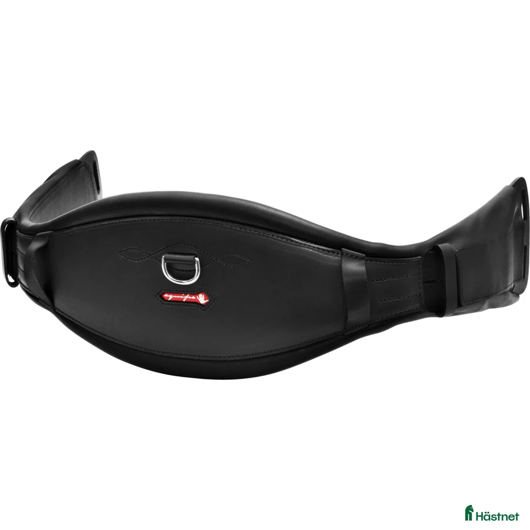 Sadeltillbehör hästutrustning till salu: Equipe sadelgjord dressyr 70 cm i Svedala - Annons 1