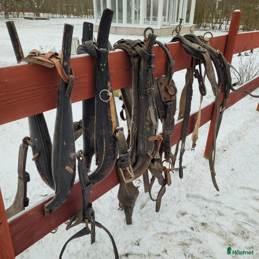 Övrig Körutrustning körning till salu: Lokor övrig körutrustning häst i Mjölby - Annons 3