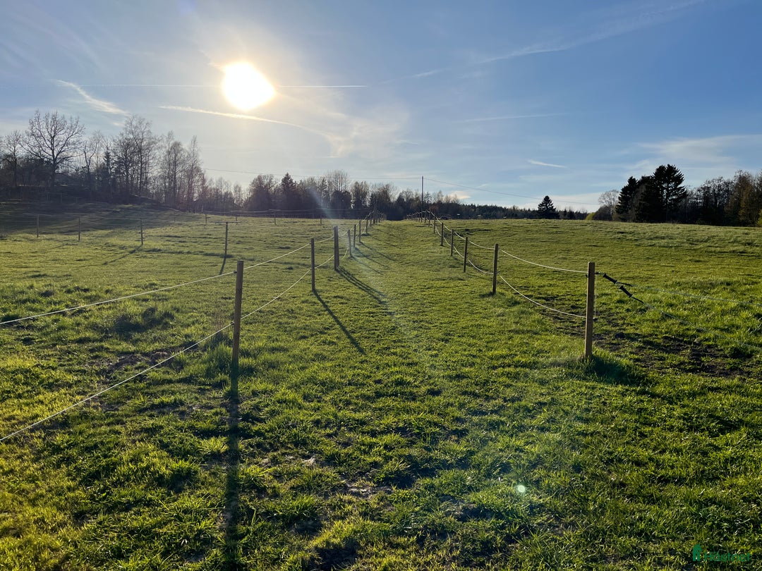  stallplats finnes: Stallplats för inackordering, Norrköping-Åby i Åby - Annons 5