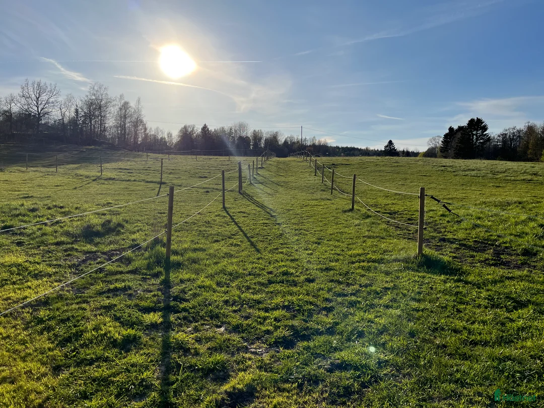  stallplats finnes: Stallplats för inackordering, Norrköping-Åby i Åby - Annons 5