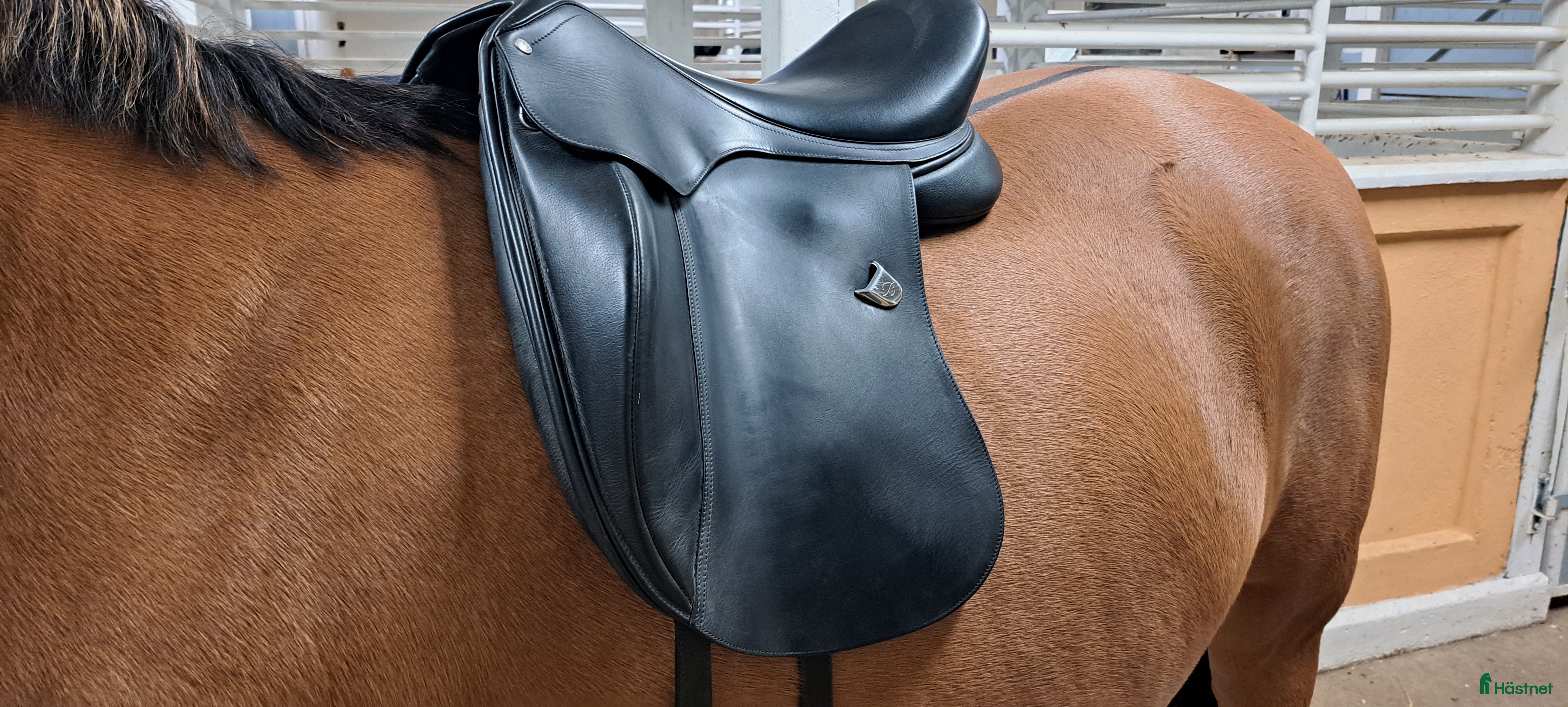 Sadlar hästutrustning till salu: Bates Inova dressyrsadel  i Tygelsjö - Annons 10
