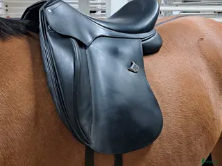 Sadlar hästutrustning Bates Inova dressyrsadel i Tygelsjö - Annons 23