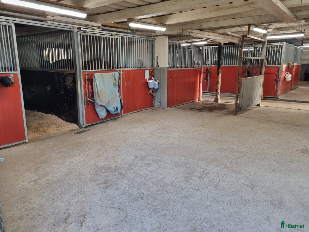  stallplats finnes: Stallplatser på Berga gård, 4km utanför Nyköping. i Nyköping - Annons 3