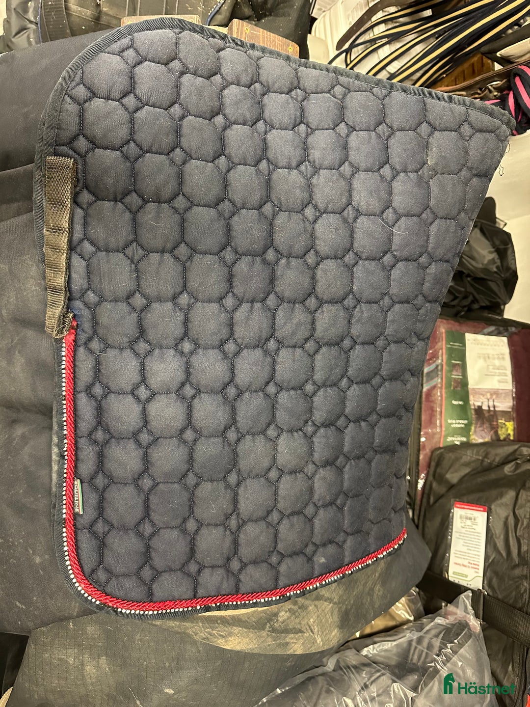 Schabrak & Vojlockar hästutrustning till salu: Equiline och Trolle schabrak säljes i Bollnäs - Annons 5