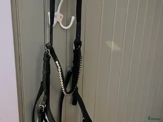 Träns hästutrustning Micklem competition träns svart cob i Oskarshamn - Annons 16