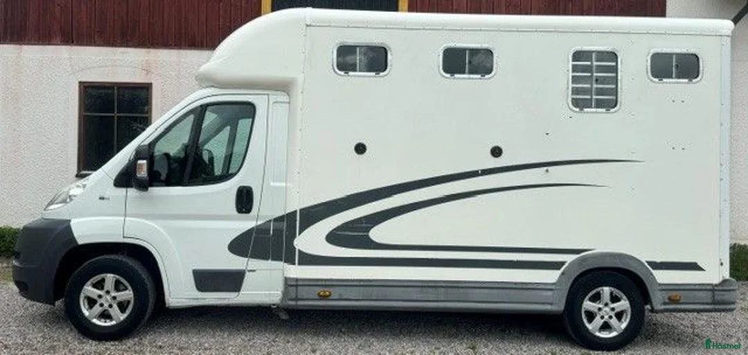 Hästlastbilar  fordon & transport till salu: Hästbuss Peugot EQUI-TREK SW35P B-kortsbuss i Örebro - Annons 1