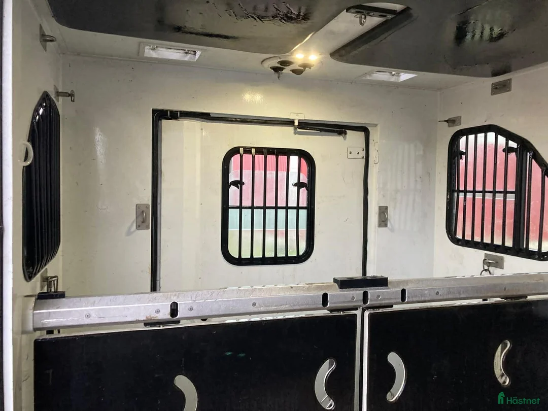 Hästlastbilar  fordon & transport till salu: Theault Proteo  i Köping - Annons 3