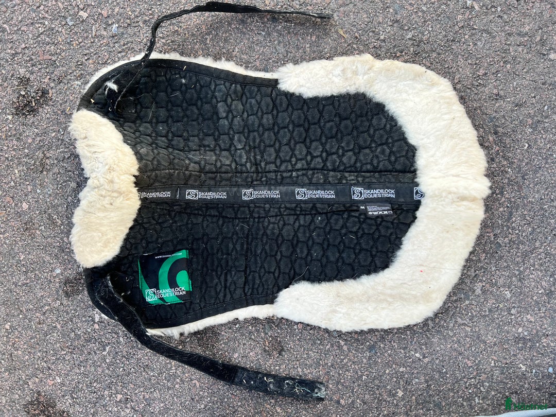 Övrig Hästutrustning hästutrustning till salu: Ponnysaker i Västerås - Annons 2